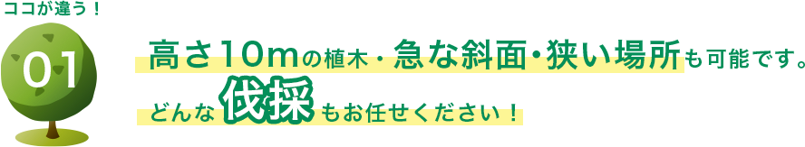 高さ10mの植木・急な斜面・狭い場所も可能です。どんな伐採もお任せください！